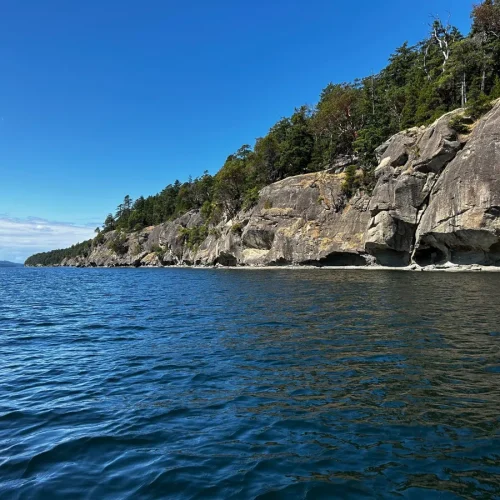 rs=w_1200,cg_true,m (8)