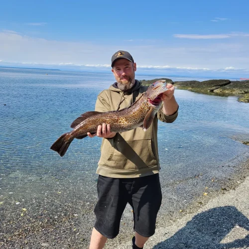 rs=w_1200,h_1600,cg_true